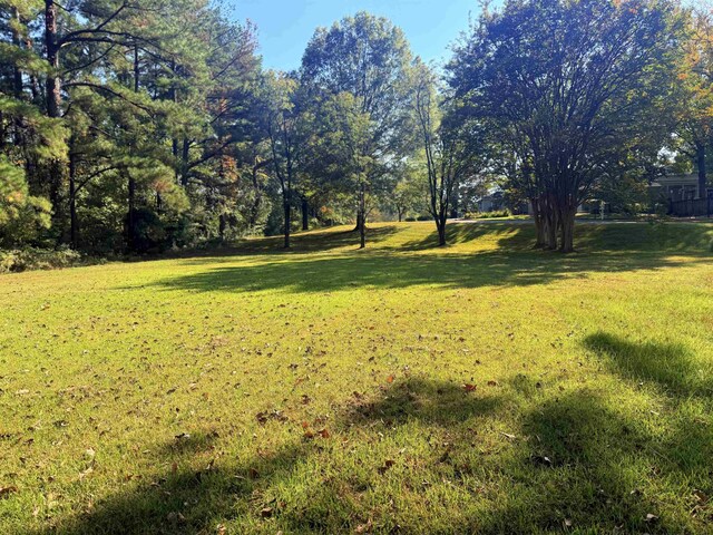 1286 Heron Oaks Cv, Memphis, TN 38120