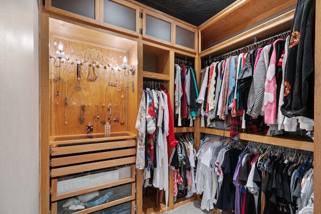 view of walk in closet