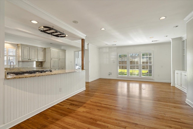 unfurnished living room featuring crown molding and light hardwood / wood-style flooring