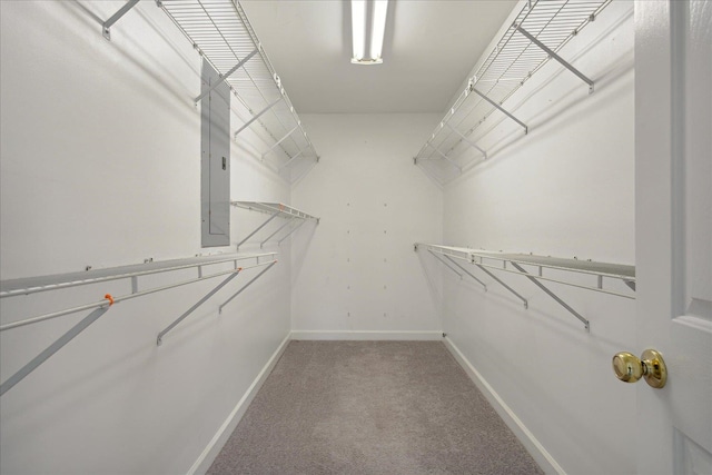 spacious closet featuring carpet flooring and electric panel