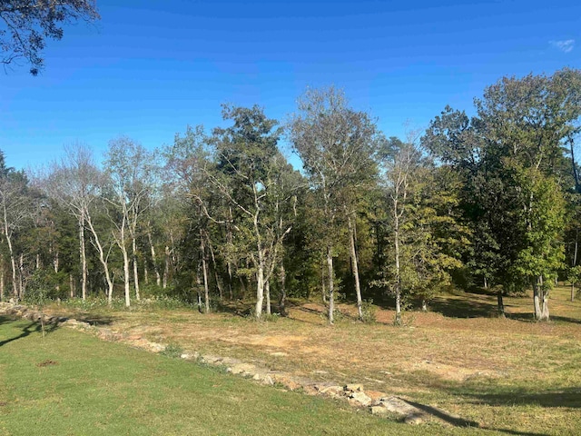 0 Mariah Ln Lot 100-101, Bath Springs TN, 38311 land for sale