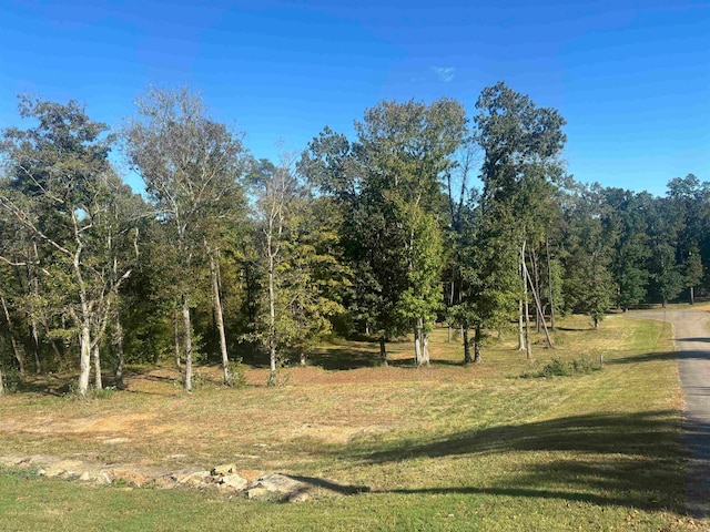 Listing photo 2 for 0 Mariah Ln Lot 100-101, Bath Springs TN 38311