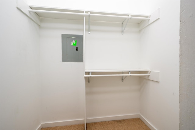 376 Mulberry St, Memphis, TN 38103 - spacious closet with carpet and electric panel