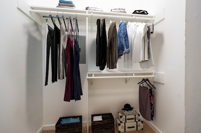 376 Mulberry St, Memphis, TN 38103 - spacious closet featuring carpet