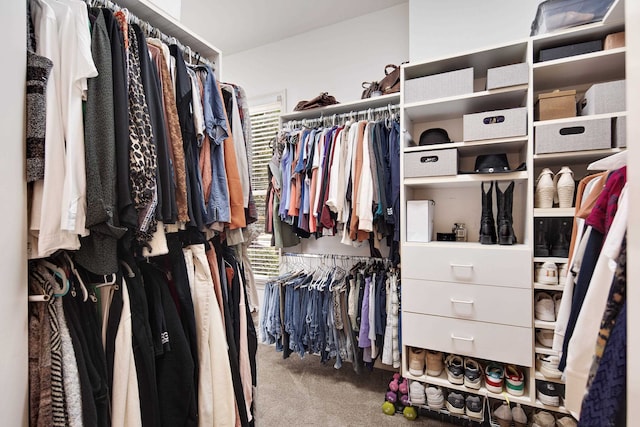 walk in closet featuring carpet floors