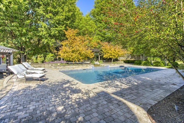 view of swimming pool featuring a patio area