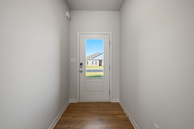 entryway featuring wood-type flooring