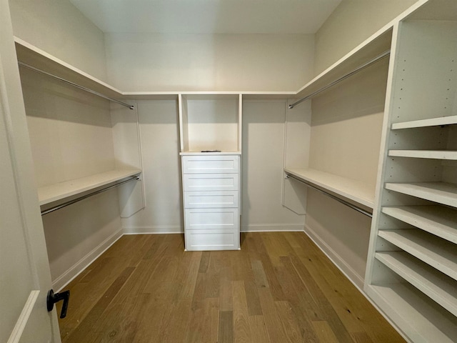 spacious closet with wood-type flooring