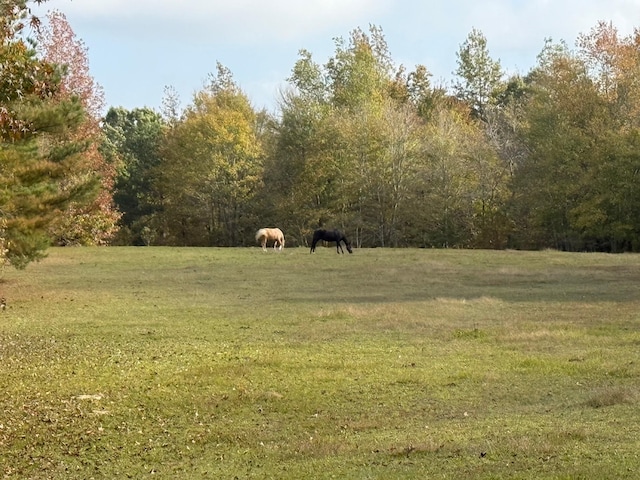 view of yard with a rural view