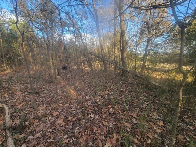 Kay Ln, Somerville, TN 38068
