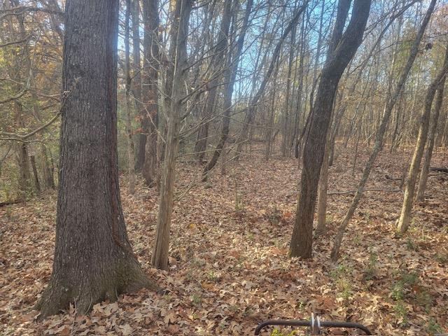 Kay Ln, Somerville, TN 38068