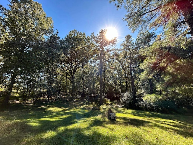 11361 Macon Rd, Eads, TN 38028 - view of green lawn