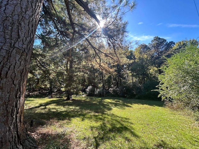 11361 Macon Rd, Eads, TN 38028 - view of grassy yard featuring a wooded view