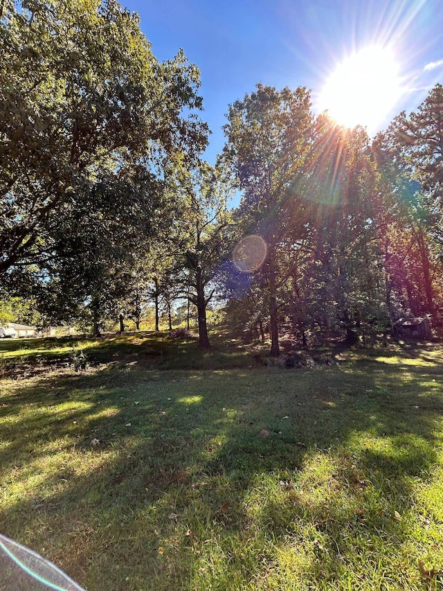 11361 Macon Rd, Eads, TN 38028 - view of green lawn