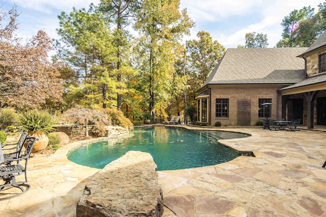 view of pool featuring a patio