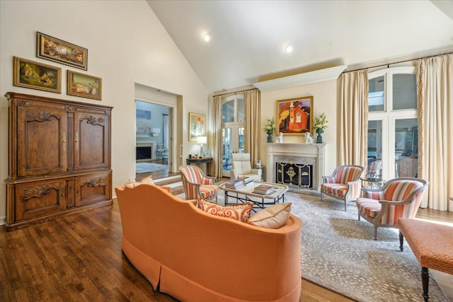 living room with dark hardwood / wood-style floors and high vaulted ceiling