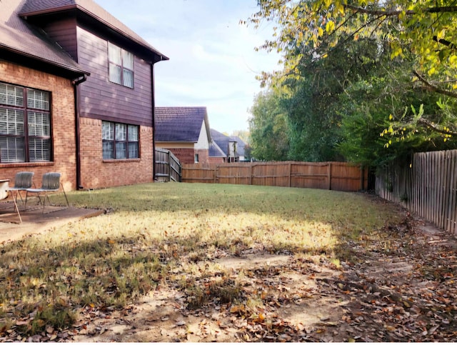 view of yard featuring a patio area