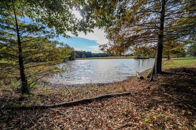 property view of water