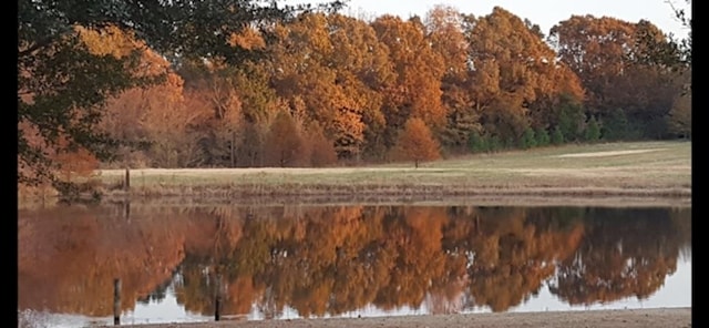 view of water feature