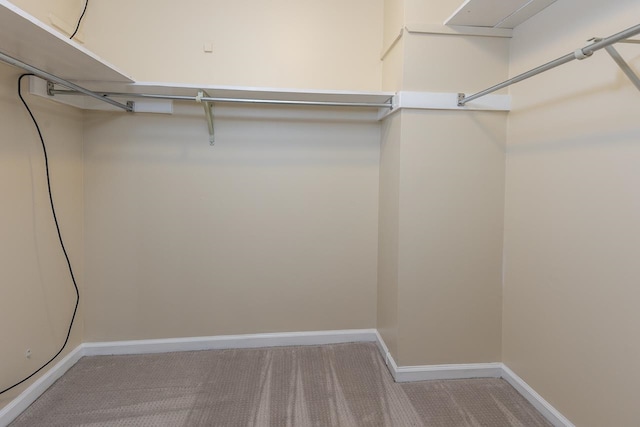 walk in closet with light carpet