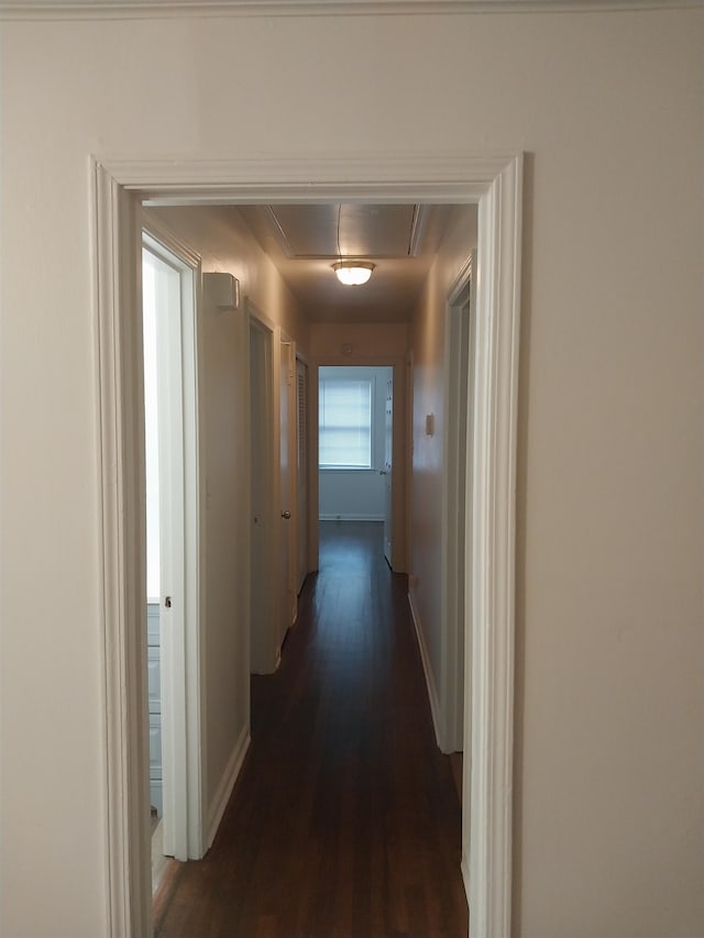 corridor featuring dark hardwood / wood-style floors