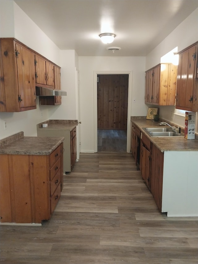 kitchen featuring dishwasher, stove, sink, and dark hardwood / wood-style flooring