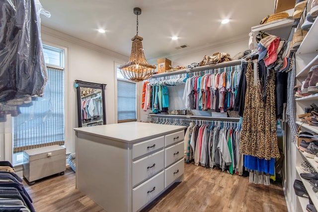 spacious closet with light hardwood / wood-style flooring