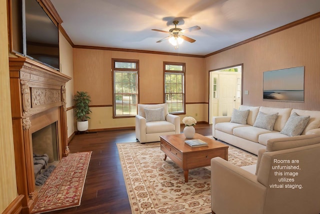 living room with ornamental molding, ceiling fan, and dark hardwood / wood-style flooring