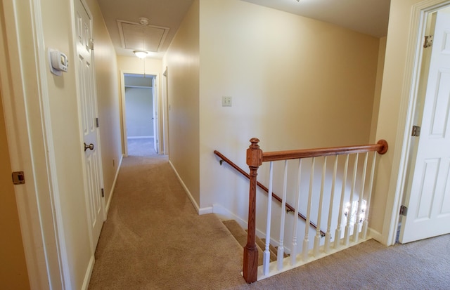 hall featuring light colored carpet