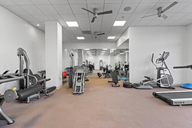 exercise room with ceiling fan, carpet, and a drop ceiling