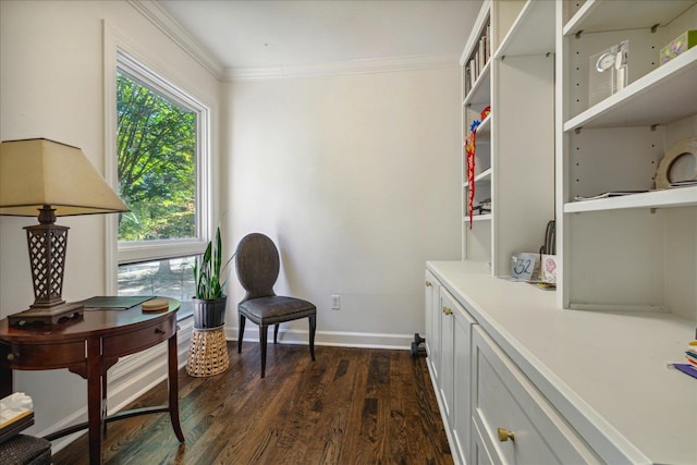 sitting room with crown molding and dark wood-type flooring