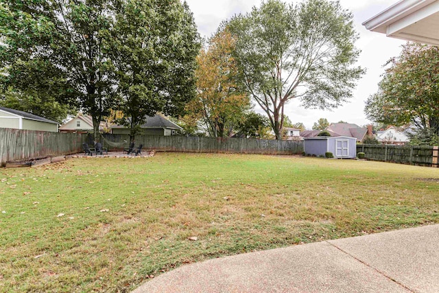 view of yard with a storage shed