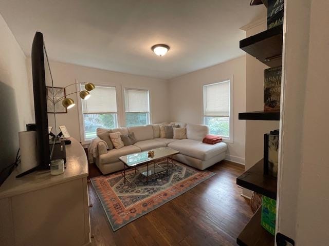 living room featuring dark hardwood / wood-style flooring