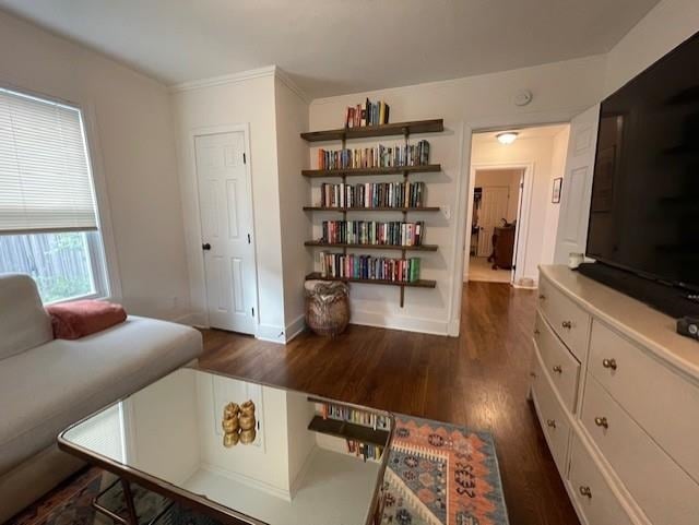 living room with dark hardwood / wood-style floors