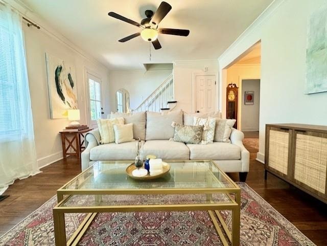 living room with dark wood-type flooring, crown molding, and ceiling fan