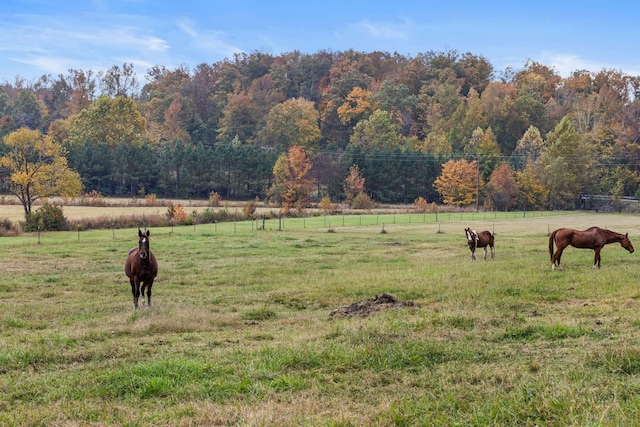 view of community with a rural view