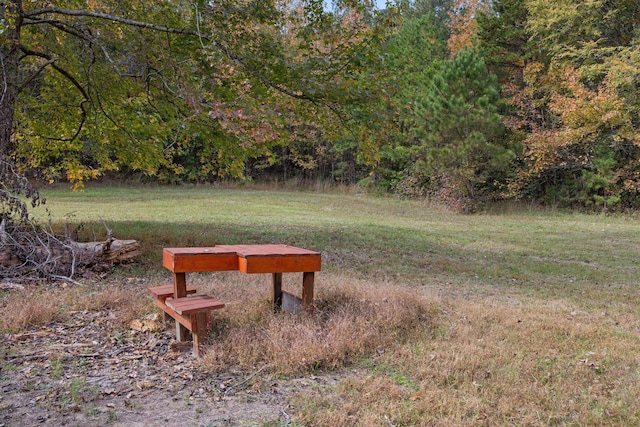 view of community with a yard