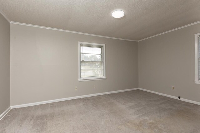 carpeted spare room featuring crown molding and a textured ceiling