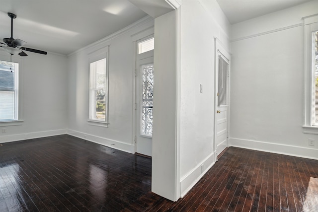 foyer with ornamental molding, dark hardwood / wood-style floors, and ceiling fan