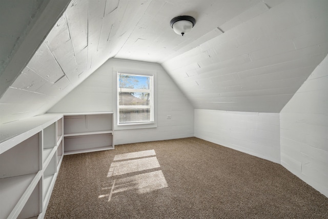 additional living space featuring carpet floors and vaulted ceiling