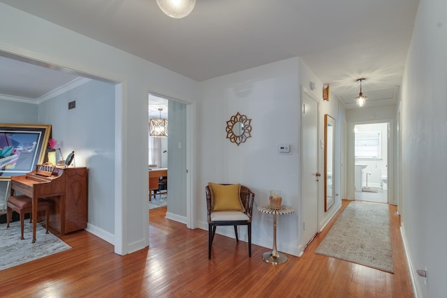 hall with ornamental molding and hardwood / wood-style floors