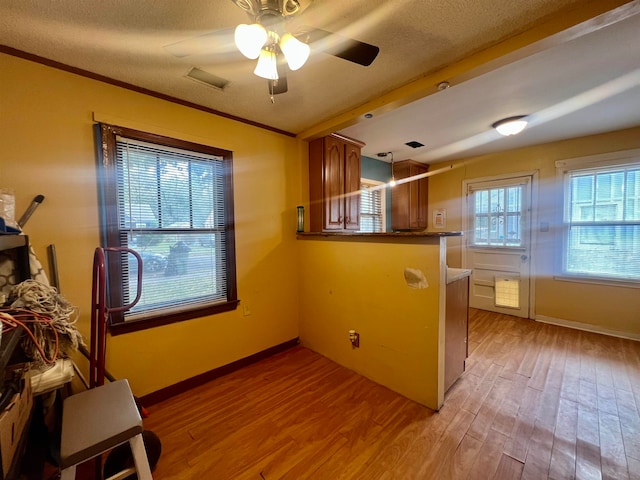 kitchen featuring ornamental molding, light hardwood / wood-style flooring, and a textured ceiling