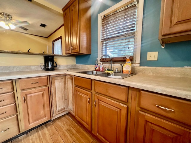 kitchen with light hardwood / wood-style floors, crown molding, sink, and ceiling fan