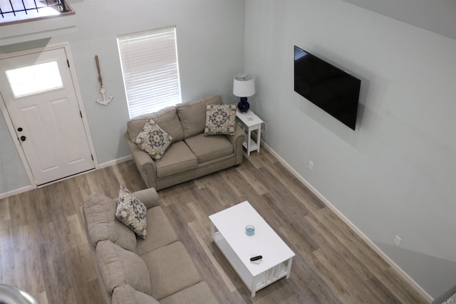 living room with hardwood / wood-style floors