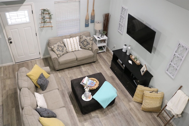 living room with hardwood / wood-style flooring