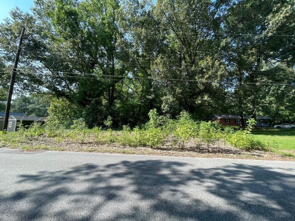 1390 N Dr, Memphis, TN 38109