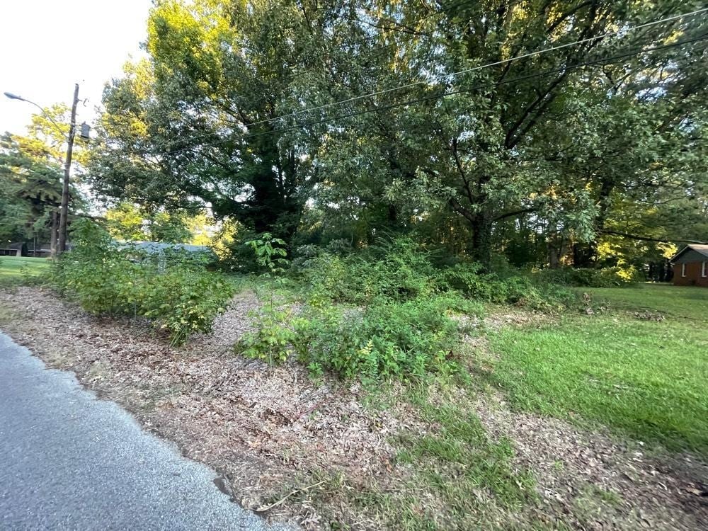 1390 N Dr, Memphis, TN 38109