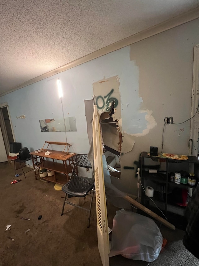 miscellaneous room featuring ornamental molding, a textured ceiling, and carpet