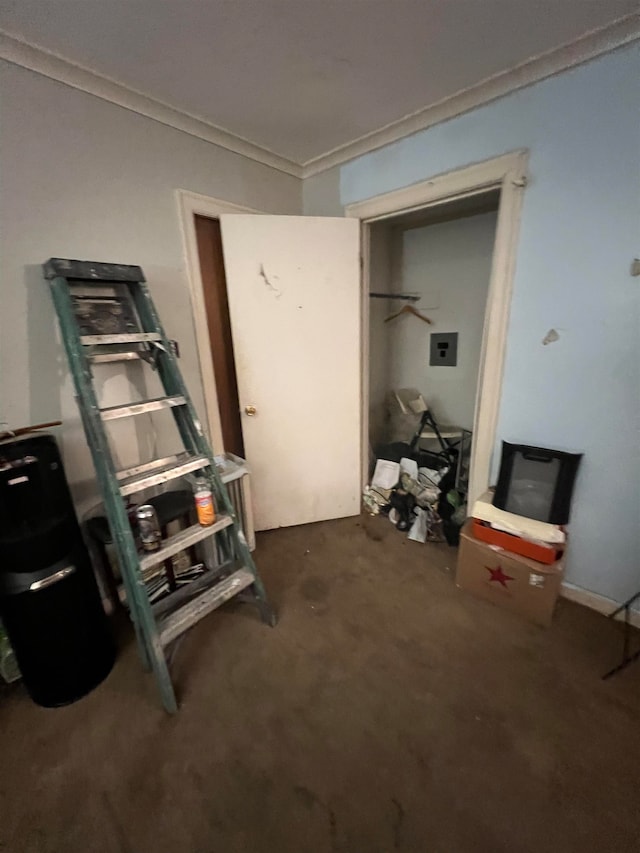 misc room with ornamental molding and dark colored carpet