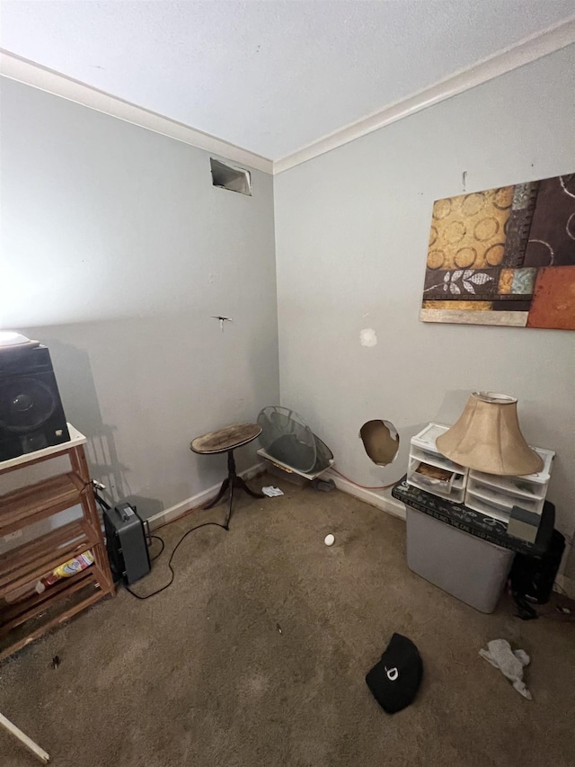 interior space featuring baseboards and carpet flooring